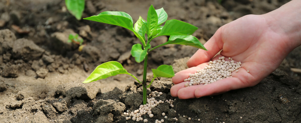 Transporte de fertilizantes